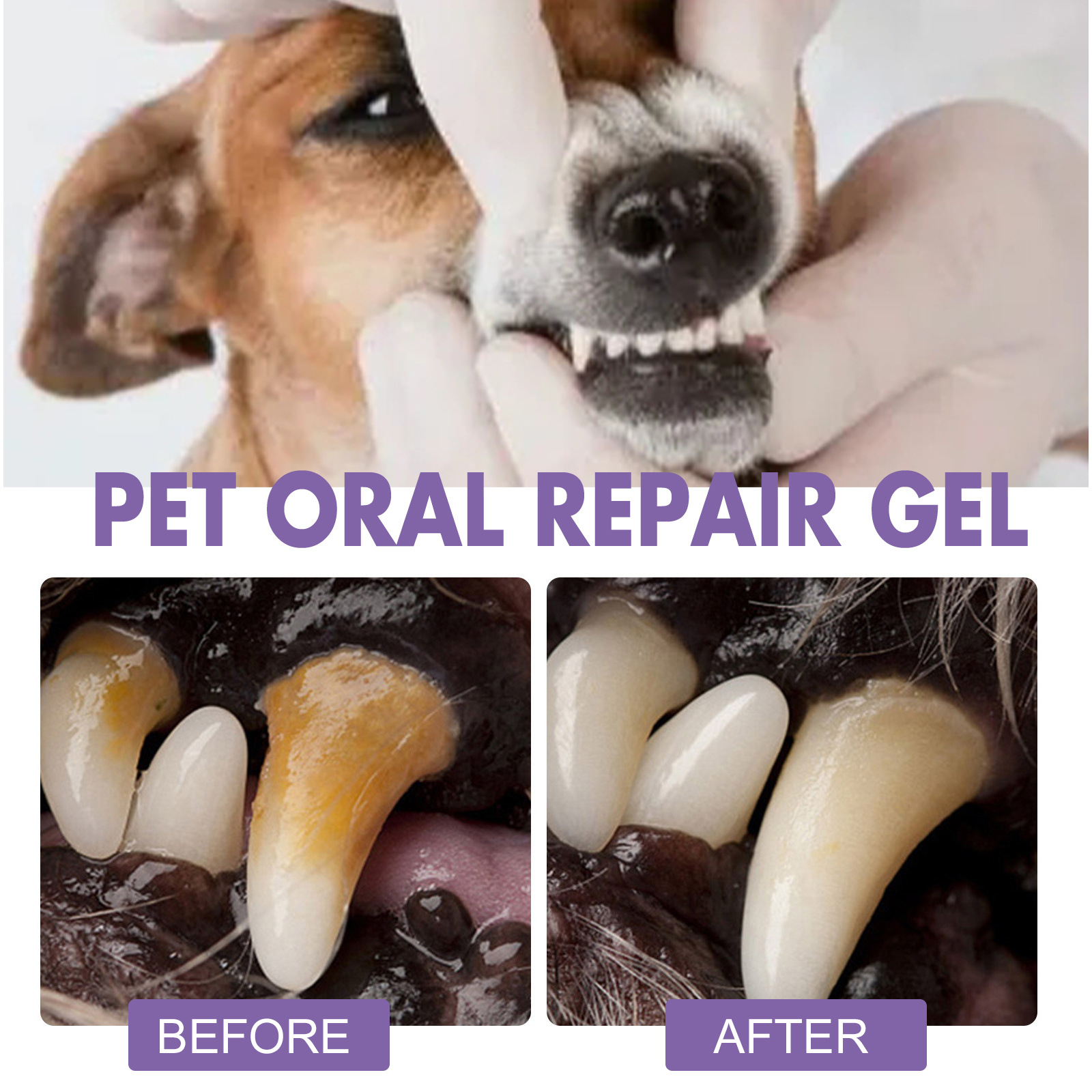 ペット口腔修復ジェル子犬歯石除去消臭剤白くする猫犬歯ステイン - Teeth Whitening Clinic のレビューと価格